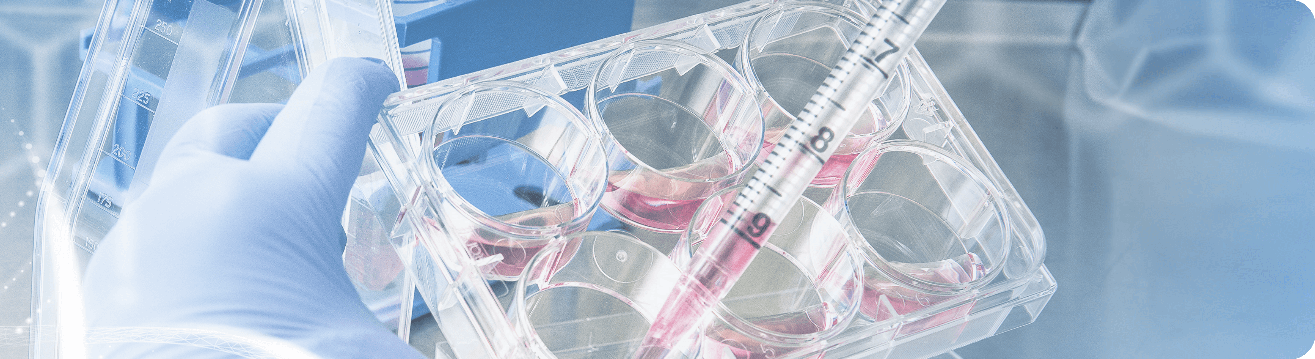 自由診療として本邦で臨床応用されている治療とそのリスク分類